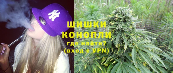 шишки Алзамай