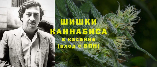 шишки Алзамай