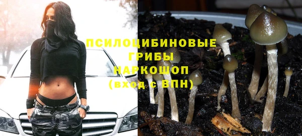 шишки Алзамай