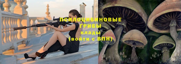 бошки Алексин